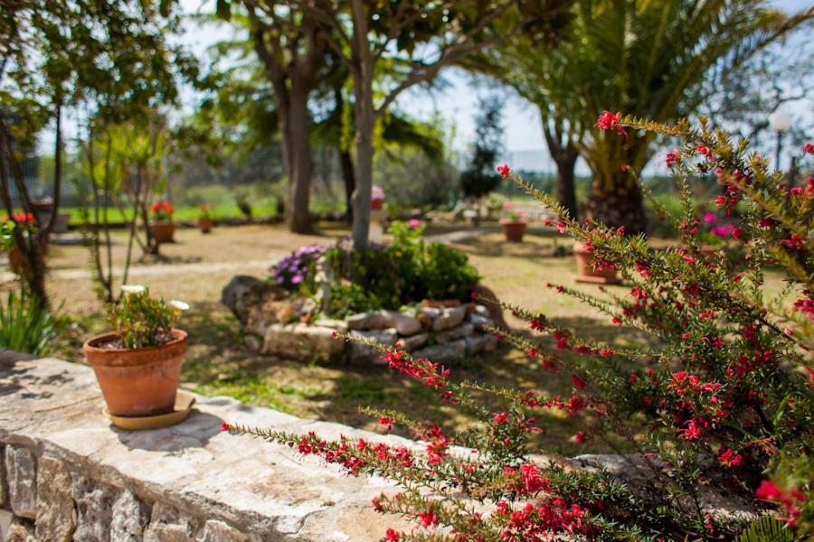 Villa Marida Джоя-дель-Колле Экстерьер фото